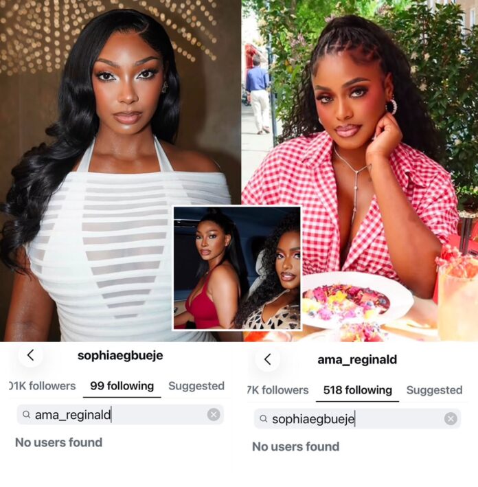 Sophia Egbueje unfollow her bestie, Ama Reginald